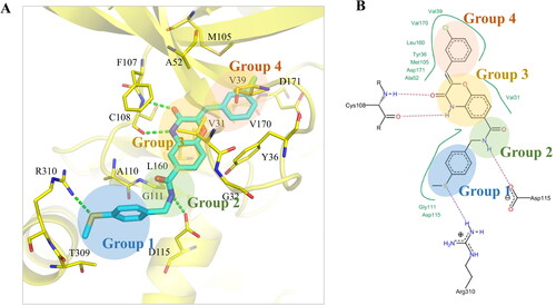 Figure 2. Interaction analysis of compound F389-0746. (A) Binding pose of compound F389-0746 in the MAP4K4 binding site. The dashed lines denote hydrogen bonds. The docking pose was generated by Pymol. (B) The 2D representation of compound F389-0746 docked in the MAP4K4 binding site showed hydrophobic interactions and hydrogen bonds. The dashed line denotes hydrogen bonds, and the solid line denotes hydrophobic interactions. 2D representation was created in LeadIT.