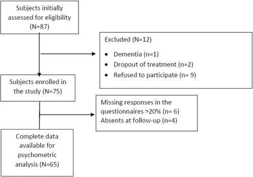 Figure 1 Study flow chart with exclusion criteria.