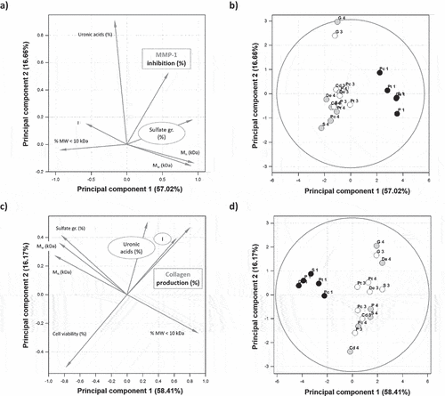 Figure 6. Principal component analysis (PCA) of the effect of the seven microalgae EPS under their native and depolymerized forms obtained after high pressure pre-treatment (HP-PT) and solid acid-catalyzed hydrolysis in batch (B-dep) or recycle fixed-bed (RFB-dep) reactor systems, on the inhibition of MMP-1 (a: loadings; b: scores) and the collagen production by fibroblasts CDD-1059Sk (c: loadings; d: scores): EPS from P. cruentum (Pc), C. dentata (Cd), Pavlova sp. (P), D. ennorea (De), Glossomastix sp. (G), P. tricornutum (Pt), and Synechococcus sp. (S), under their native (1), B-dep (3), and RFB-Dep (4) forms.