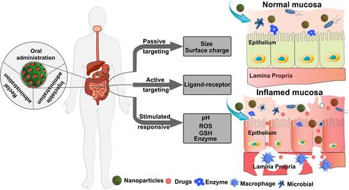 Figure 2 Schematic illustration of GIT microenvironment-based target drug delivery.