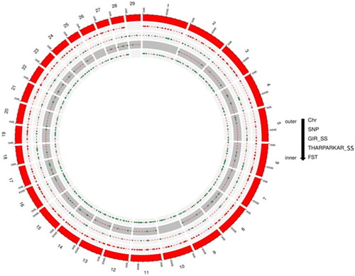 Figure 3. Circos plot showing SNPs and selective sweep identified in Gir and Tharparkar cattle. Outermost circle represents chromosomes, followed by number of SNPs identified, selection signatures in Gir using CLR statistic and selection signatures in Tharparkar using CLR statistic FST.