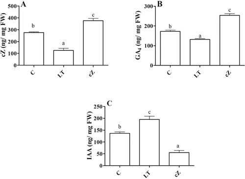 Figure 3. Determination of endogenous cZ (cis-zeatin), GA4 (Gibberellic acid), IAA (Indole-3-acetic acid) in the plants of Z. mays after been exposed to cZ (5 µM) or and its inhibitor – lovastatin – LT (5 µM). Data are mean from 3 independent experiments with standard error bars. Bars labeled with different letters are significantly different (Duncan test; p < 0.05). Experiment was performed at least times in triplicates for validation.