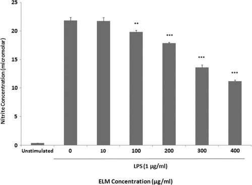 Figure 2. Evaluation of nitric oxide production by J774A.1 macrophages stimulated for 24 h with LPS alone or in combination with 10–400 mg/ml of ELM.Note: Data were expressed as mean ± SD. *P < 0.05, **P < 0.01, ***P < 0.001 compared to control, tested by ANOVA test.