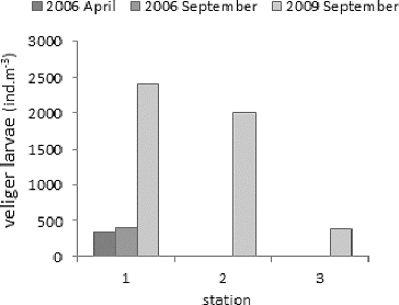 Figure 7. Dynamics of the veliger larvae in the Poletkovtsi Reservoir at station 1, 2 and 3 in September 2009 compared to previous studies from 2006 after Kozuharov et al.[Citation11].