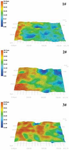 Figure 4. Three-dimensional topography of SiC coatings.