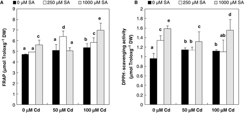 Figure 5. The effects of 8-h pretreatment with SA on FRAP (A) and DPPH-radical scavenging activity (B) in leaves of flax plantlets after 10 days of Cd stress. Values are the means of five replicates experiments ± SE. Bars with different letters are statistically different at (P ≤ 0.05).