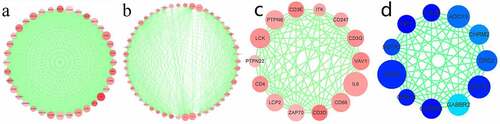 Figure 4. PPI sub-networks. (a–c) indicate the 3 PPI sub-networks constructed by the most significantly upregulated DEGs. (d) shows the PPI sub-network constructed by the downregulated DEGs. Node size stands for the connectivity degree. Blue and red colors indicate downregulated and upregulated genes, respectively. Color depth stands for fold change size. Edge thickness stands for combined score