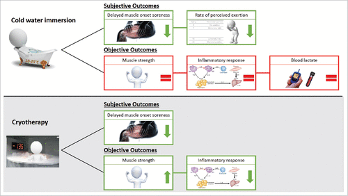 Figure 3. Overview of the effects of post-cooling on recovery from prolonged exercise, in which the effects were divided in subjective and objective outcomes. The ‘arrows’ represents a beneficial effects of post-cooling (↑ = higher, ↓ = lower), whereas the ‘ = sign’ represents no impact of post-cooling.