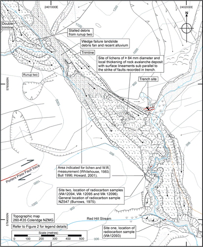Figure 3  Geomorphic map of the Acheron rock avalanche deposit surface showing the lobate surface morphology and the site of the lichen and weathering-rind (W.R) measurements relative to the radiocarbon sample locations (this study). The location of the trench investigation is identified by the blue rectangle on the east side of the rock avalanche. The Porters Pass Fault trace is shown in red.