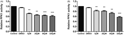 Figure 7. (A) Effect of 8 on enzymatic activity of PPK1. (B) Effect of 17 on enzymatic activity of PPK1. (**p < 0.01 vs. control; ***p < 0.001 vs. control).