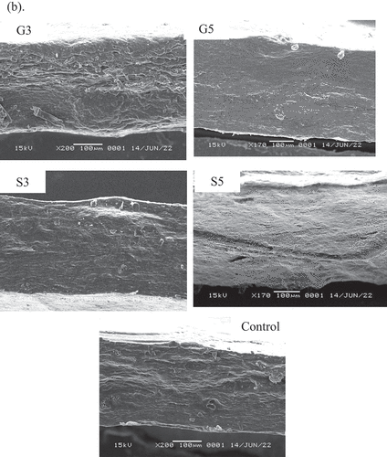 Figure 5b. (Continued).