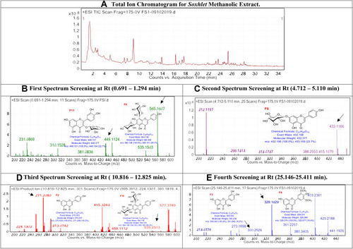 Figure 1 The LC/MS spectrum for soxhlet methanolic extract.