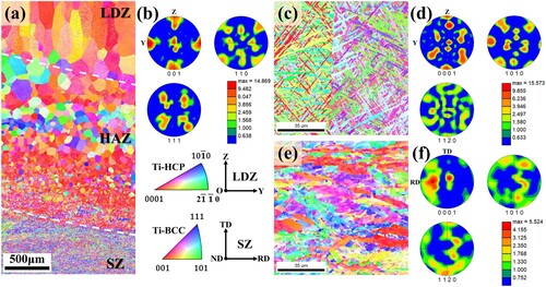 Figure 5. EBSD results of the as-deposited hybrid manufactured TC11 sample. (a) Reconstructed β-orientation map from the SZ to the LDZ and the corresponding (b) pole figures in the LDZ. Inverse pole figure orientation maps and pole figures of the α phases in the (c)-(d) LDZ and (e)-(f) SZ.