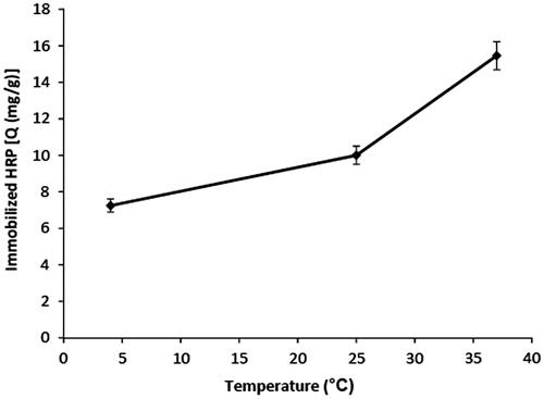 Figure 3. Effect of temperature on immobilization of HRP. Initial HRP concentration: 0.5 mg/ml; gelatin loading: 65.3 mg/g; pH: 7.5.