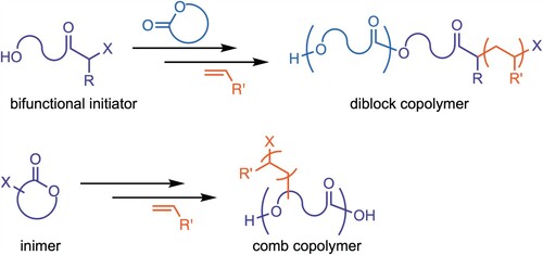 Scheme 1. Bifunctional initiators and inimers in ring-opening polymerization (ROP)/atom transfer radical polymerization (ATRP) copolymer synthesis.