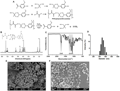 Figure 2 Characterization of PVO nanoparticles. (A) Synthetic route and chemical structure of PVO and H2O2-triggered degradation for CO2 generation. (B) 1H NMR spectrum of PVO in CDCl3. (C) Infrared spectrum of PVO nanoparticles. (D) Size distribution of PVO nanoparticles dispersed in PBS. (E) Representative SEM image of PVO nanoparticles. (F) SEM images showing the degradation of PVO nanoparticles in supernatants from inflamed nerve tissue.