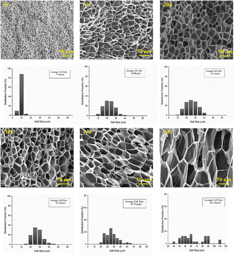 Figure 5. SEM micrographs and cell size distribution of microwave-assisted PS/CNT1 foams created at various radiation times.