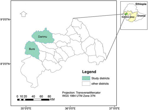 Figure 1 Geographical location of Darimu and Bure districts, Southwest Ethiopia.