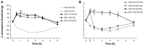 Figure 5 Effects of phalloidin on celecoxib-induced hypoalgesia and interactions with cytochalasin B. In (A), a range of intraplantar doses of phalloidin (0.1–10 μg) administered 60 minutes before carrageenan did not modify the hypoalgesia induced by celecoxib 12 mg/kg administered systemically 30 minutes before carrageenan. The data are shown as the mean ± standard error of the mean for five rats in each treatment group. In (B), intraplantar cytochalasin B 1 μg administered 30 minutes after carrageenan (see arrow on time axis) reversed all analgesic effects of celecoxib from 1–4 hours. Pretreatment with intraplantar phalloidin 1 μg administered 60 minutes before carrageenan blocked this reversal by cytochalasin B. The data are shown as the mean ± standard error of the mean for five rats in each treatment group.Note: *P < 0.05, significant effect of phalloidin.
