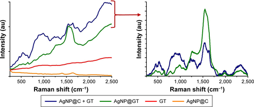 Figure S1 Left: Raman spectra of the prepared silver nanoparticle samples (citrate-stabilized AgNP@C, green tea-stabilized AgNP@GT), green tea extract (GT) and citrate stabilized silver nanoparticles mixed with green tea (AgNP@C + GT). Right: Baselined comparison of the Raman spectra of AgNP@GT and AgNP@C + GT.Abbreviations: AgNP@C, citrate-capped nanosilver; AgNP@GT, green tea extract-stabilized silver nanoparticle.