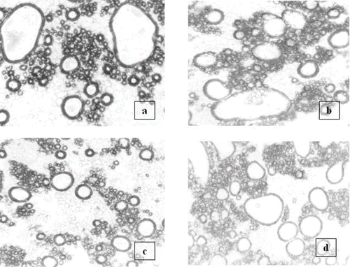 Figure 1 Photomicrographs of eggless cake batter. a. Control; b. 10 % WPC; c. 20 % WPC; d. 30 % WPC.