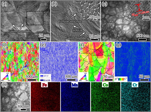 Figure 1. (a) OM images of the as-built iHEA. (b) SE image obtained from the area in (a). The inset shows the equiaxed cellular structures. (c) STEM image of the equiaxed cellular structures and the inset HRTEM image showing the distance across 5 {111} planes. (d) IPF map and (e) phase map superimposed with the GB map. (f,g) IPF (the dashed lines show the fusion boundaries) and KAM maps. (h) STEM-EDS maps of the cellular structures.
