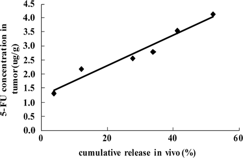 Figure 6.  Correlation analysis between the cumulative release of 5-FU in vivo and the 5-FU concentration in tumor.