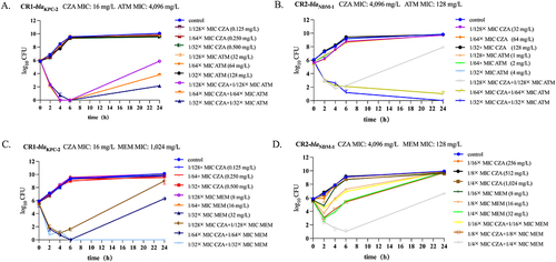 Figure 1 Time-kill assays against CR1-blaKPC-2 and CR2-blaNDM-1 in incubation with ceftazidime-avibactam (CZA) alone and ceftazidime-avibactam (CZA) in combination with aztreonam (ATM) or meropenem (MEM). Curves represent average concentrations of duplicate experiments. (A) CZA in combination with ATM against CR1-blaKPC-2 via time-kill assays at the concentration of 1/128× MIC CZA plus 1/128× MIC ATM, 1/64× MIC CZA plus 1/64× MIC ATM and 1/32× MIC CZA plus 1/32× MIC ATM. (B) CZA in combination with ATM against CR2-blaNDM-1 via time-kill assays at the concentration of 1/128× MIC CZA plus 1/128× MIC ATM, 1/64× MIC CZA plus 1/64× MIC ATM and 1/32× MIC CZA plus 1/32× MIC ATM. (C) CZA in combination with MEM against CR1-blaKPC-2 via time-kill assays at the concentration of 1/128× MIC CZA plus 1/128× MIC MEM, 1/64× MIC CZA plus 1/64× MIC MEM, and 1/32× MIC CZA plus 1/32× MIC MEM. (D) CZA in combination with MEM against CR2-blaNDM-1 via time-kill assays at the concentration of 1/16× MIC CZA plus 1/16× MIC MEM, 1/8× MIC CZA plus 1/8× MIC MEM, and 1/4× MIC CZA plus 1/4× MIC MEM.