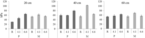 Figure 8. Average (n = 8) Pc in soil profiles after multiple (10×) wheeling for ploughed (P) and minimum tilled plot (M). R = reference plot, 4.1 Mg wheel load, 6.6 Mg wheel load. Pc measured in laboratory (−6kPa), ± standard error. Pc can be classified as low (30–60 kPa), medium (60–90 kPa) and high (90–120 kPa) (Horn & Fleige Citation2003).