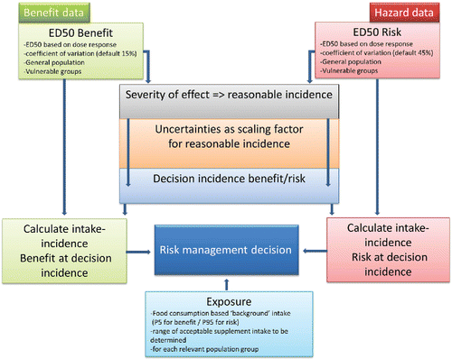 Figure 1. Design of the proposed risk–benefit approach for micronutrients for use in risk management decision-making.
