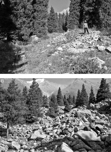 Figure 6 Views of debris flow assemblage DF2 showing (A) partially vegetated boulder berms and (B) superficial boulder berm deposits near unit margin with a tributary channel.