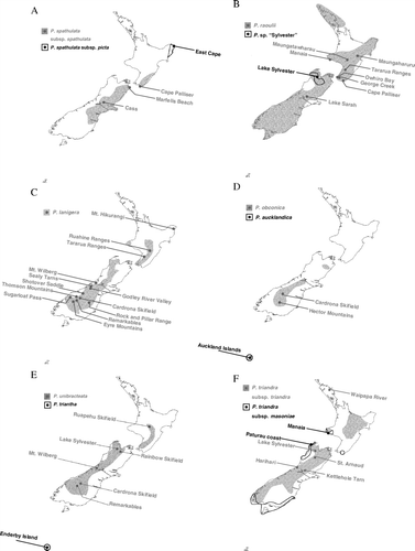 Fig. 1  Distributions of New Zealand Plantago species based on herbarium specimen locality information (Allan Herbarium, Landcare Research, Christchurch, New Zealand) and locations of samples collected for this study. Group I: (A) P. spathulata, (B) P. raoulii and P. sp. ‘Sylvester’. Group II: (C) P. lanigera, (D) P. obconica and P. aucklandica. Group III: (E) P. unibracteata and P. triantha, (F) P. triandra.
