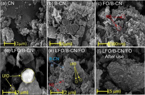 Figure 2. SEM images of (a) CN, (b) B-CN, (c) FO/B-CN, (d) LFO/B-CN, and (e) LFO/B-CN/FO photocatalysts.