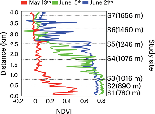 Figure 9. Profiles of NDVI along the transect line shown in Figure 8 in Mount Gassan in 13 May, 5 June, and 21 June 2019. The horizontal distance of the study section is on the y-axis.
