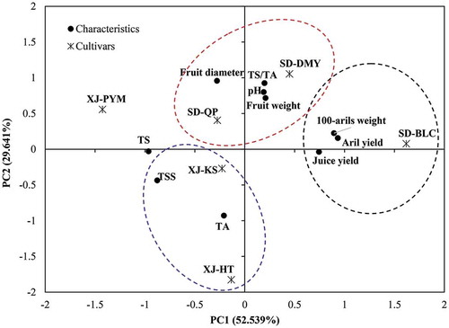 Figure 2. PCA biplot of the physicochemical characteristics from pomegranate fruit of different cultivars.