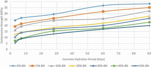 Figure 8. The graph of compressive strength versus concrete curing age for BN