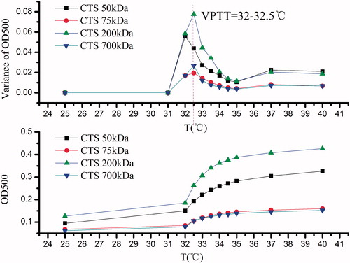 Figure 2. Effect of CTS Mw on the VPTT of CTS-g-PNIPAAm nanogels.