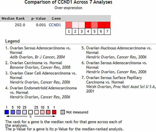 Figure 2. Expression of CCND1 gene in ovarian cancer in Oncomine database
