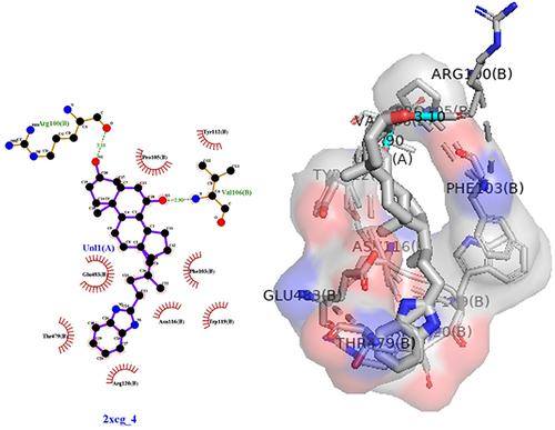Figure 7 3D (right) and 2D (left) representations of the binding interactions of (IVf) against Human monoamine oxidase b (PBPs) (PDB ID: 2XCG).