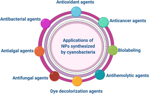 Figure 7 Different applications of NPs synthesized by cyanobacteria.