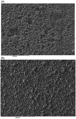 Figure 5. (A) SEM image of the top surface of the pellet (B) SEM image of the separated microparticles from a pellet which is made of 40 mg/ml PVP concentration and fired at a pressure of 20 bar and separated using a mesh of 178 μm pore size.