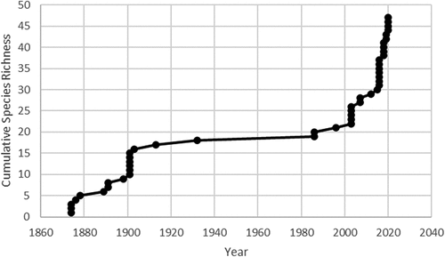 Figure 5. Cumulative species richness over time on Mt. Washington, New Hampshire. There were two primary periods of documentation, from 1874 to 1903 and from ~1990 to present.