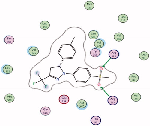 Figure 7. 2D binding interaction of celecoxib inside COX-2 active site.