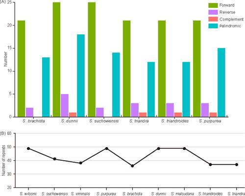 Figure 3. (A) Identification and comparison of complex repetitive sequences in six chloroplast genomes. (B) Correlation of repeats with chloroplast genome size. Species were arranged based on genome size. The discontinuous pattern of the graph shows the random distribution of repeats independent of genome size.