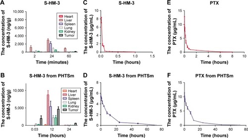 Figure 6 In vivo distribution and pharmacokinetic of free S-HM-3, free PTX and S-HM-3, PTX in PHTSm micelles.Note: S-HM-3 distributions in different organs after injection (A) S-HM-3 (3.5 mg/kg) and (B) PHTSm (containing S-HM-3 3.5 mg/kg); in vivo S-HM-3 plasma concentration–time curves of (C) free S-HM-3 group and (D) PHTSm group; in vivo PTX plasma concentration–time curve of free PTX (E) and PHTSm (F) after caudal vein administration in SD rat.Abbreviation: PTX, paclitaxel.