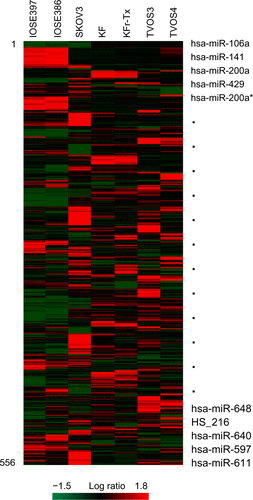 Figure S1 Differential miRNA expression signatures between five ovarian cancer cells and two normal ovarian cells.