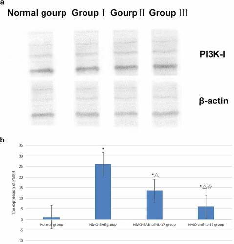 Figure 1. Expression of PI3K-I protein in each group. (a): Western blot of PI3K-I protein expression in each group. (b): Statistical difference of PI3K-I protein expression in each group.