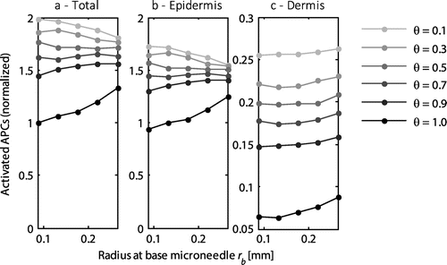 Figure 6. The normalized number of activated APCs as a function of the radius of the microneedles at its base for the entire skin (a), the epidermis (b), and the dermis (c). All values were normalized to the total number of antigen presenting cells activated with the default microneedle geometry (rb = 0.0875 mm) at a saturation threshold of 1. Each line represents a different saturation threshold, θ. Note the different scale on the y-axis for the dermis.