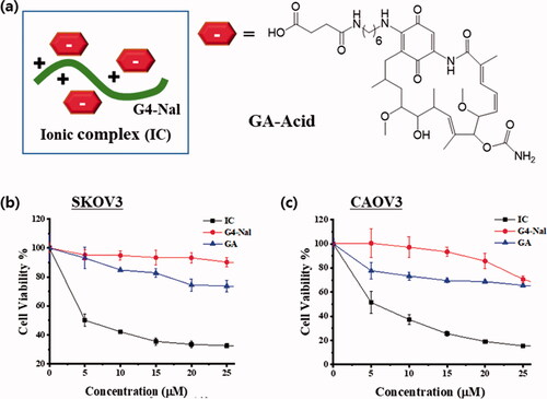 Figure 5. (a) Graphical representation of the IC made by electrostatic interactions between G4-Nal and GA-Acid. Cell viability of G4-Nal, GA, and IC in (b) SKOV3 and (c) CAOV3 cell lines, based on the MTT assay. GA: geldanamycin, IC: ionic complex between G4-Nal/GA-Acid in (1:3) composition.