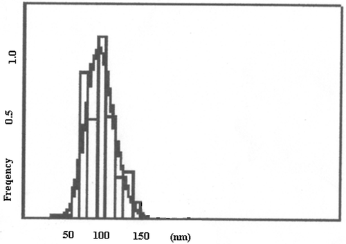 Figure 3. Particle size distribution of nanoparticles.